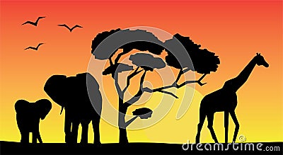 African landscape Vector Illustration