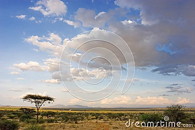 African Landscape Stock Photo