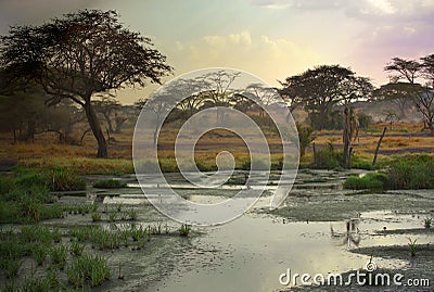 African landscape Stock Photo