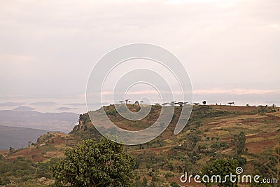 African landscape Stock Photo