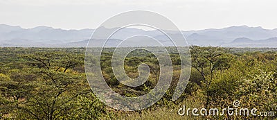 African landscape. Mago National Park. Ethiopia. Stock Photo