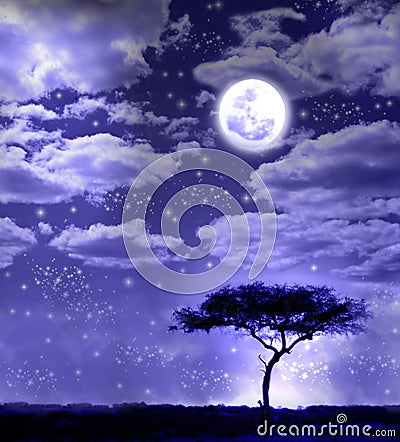 African landscape in moonlight Stock Photo