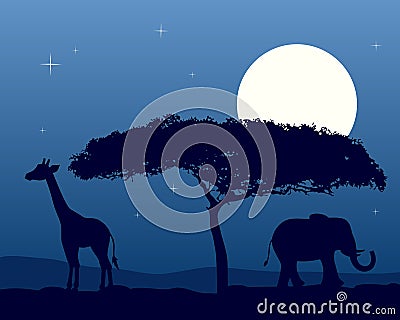African Landscape at Night Vector Illustration