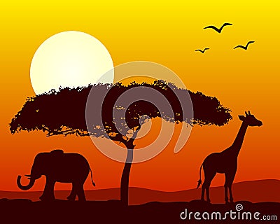 African Landscape at Sunset Vector Illustration