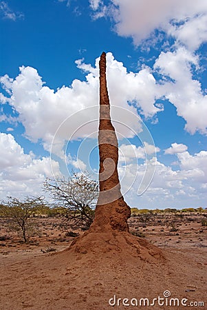 African landscape with termitary Stock Photo