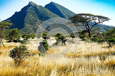 African landscape Stock Photo