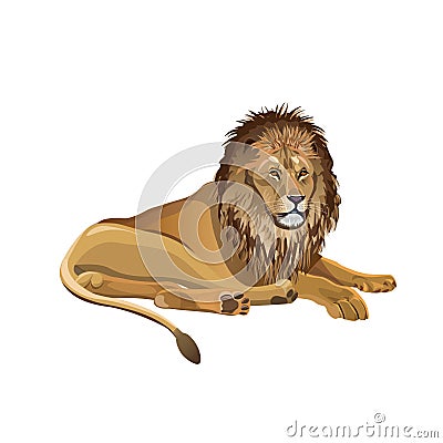 African lion lying Vector Illustration