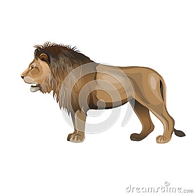 African lion vector Vector Illustration