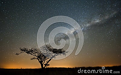 African Milky way Stars South Africa Stock Photo