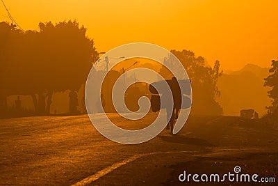 An African/Mozambican cycling to work at sunrise with large bags of coal Stock Photo