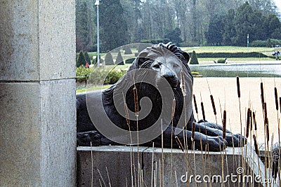 African Museum - Tervuren Park Belgium - Vintage photo lion statue Editorial Stock Photo