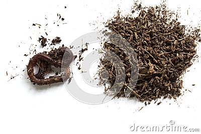 African Night Crawler, earthworms and Fertile soil isolated on white background Stock Photo