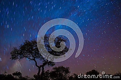 African Night Sky Stock Photo