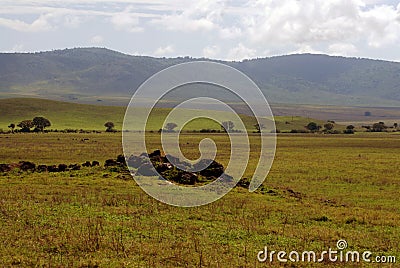 African Plains Stock Photo