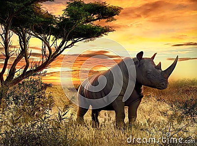 African Rhino in the Savanna at Sunset Cartoon Illustration