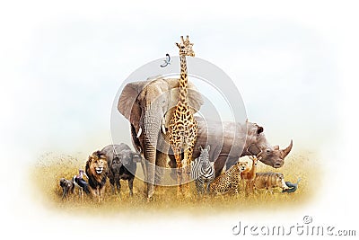 African Safari Animal Fantasy Land Stock Photo