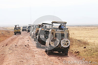 African safari Editorial Stock Photo