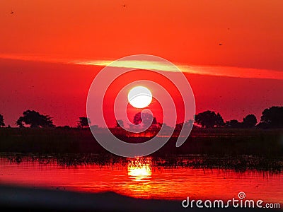 African safari sunset over the Chobe river Stock Photo