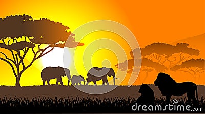 African savanna an evening landscape Vector Illustration