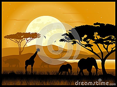 African savanna Stock Photo