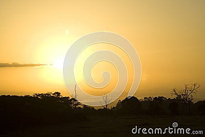 African Savannah Sunrise Stock Photo