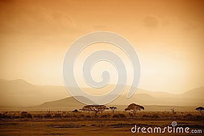 African savannah at sunrise Stock Photo
