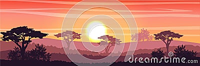 African Savannah at sunset. Acacia trees, grass, sky, sun and clouds. Realistic vector landscape. The nature of Africa Vector Illustration