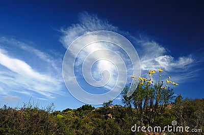 African Sky (Cederberg) Stock Photo