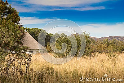 African thatched hut in the bush veld Stock Photo