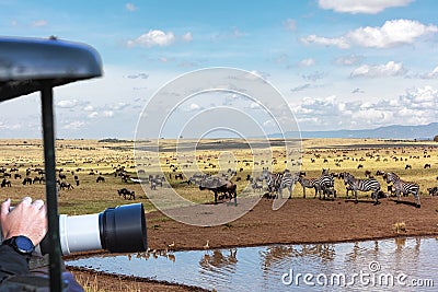 African Wildlife Photo Safari in Kenya During Migration Stock Photo