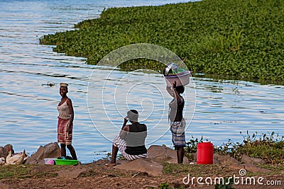 African woman wash clothes on the shore of Lake Victoria Editorial Stock Photo