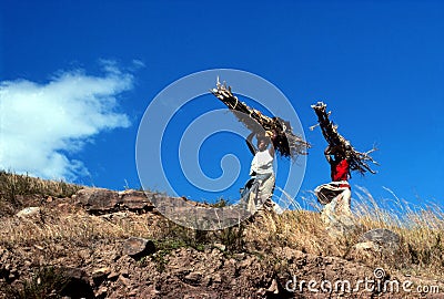 African women carrying wood Editorial Stock Photo