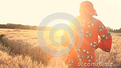 Afrikaanse vrouw in traditionele kleren die zich op een gebied van gewassen bij zonsondergang of zonsopgang bevinden stock videobeelden Afrikaanse vrouw in traditionele kleren die zich op een gebied van gewassen bij zonsondergang of zonsopgang bevinden stock videobeelden