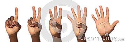 Afro-American man showing different gestures on white background Stock Photo