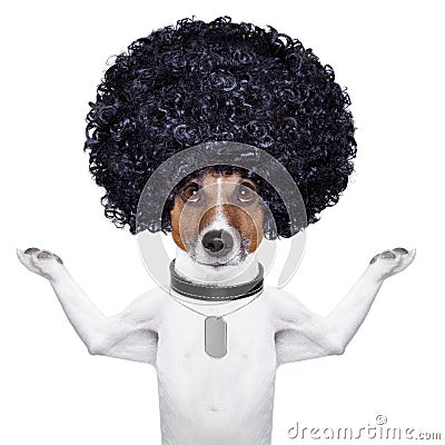 Afro dog Stock Photo
