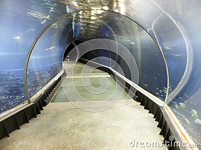 Afrykarium object presenting the life-giving waters of Africa Stock Photo