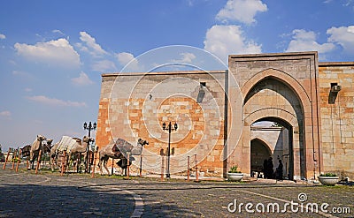 Concept camel train arrived the caravansary near the museum for companions of cave or seven sleepers Editorial Stock Photo