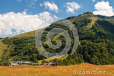 Mountain Meadows Stock Photo