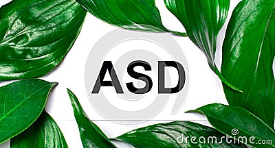 Against the background of green natural leaves, a white card with the text ASD Autism Spectrum Disorder Stock Photo