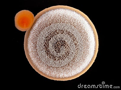 Agar culture Stock Photo