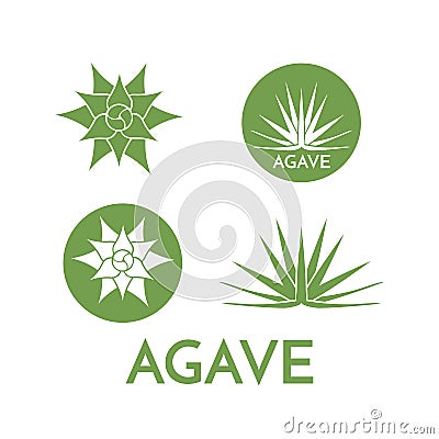 Agave plant green flower logo colorful vector illustration Vector Illustration