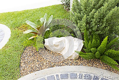 Agave tequilana plant in small garden. Stock Photo