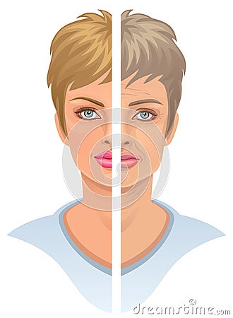 Age Vector Illustration