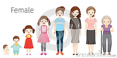 The Life Cycle Of Woman. Generations And Stages Of Human Body Growth. Different Ages, Baby, Child, teenager, adult, Old Person Vector Illustration