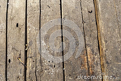 Aged antique wooden sepia panel Stock Photo