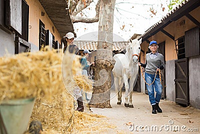 Aged farmer woman leading white horse outdoors along stables Stock Photo