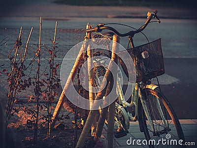 Aged Old Ladies Bicycle in Morning Light Stock Photo