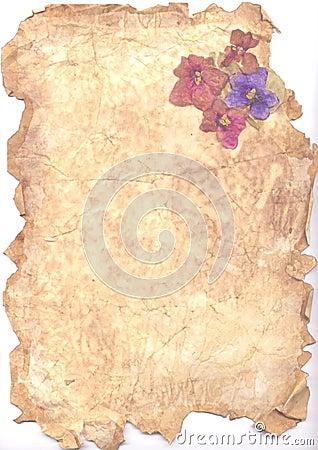 Aged paper and violets Stock Photo