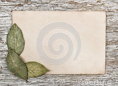 Aged sheet of paper and dry bay leaves Stock Photo