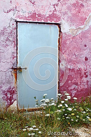 Aged wall door wild carrot flowers Formentera Stock Photo